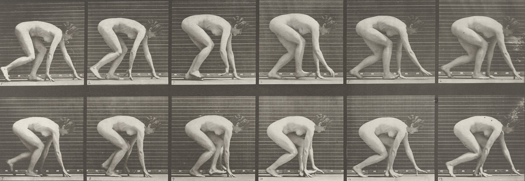 Eadweard J. Muybridge. Woman Walking on Hands and Feet: Plate 183 from Animal Locomotion (1887). 1884-86