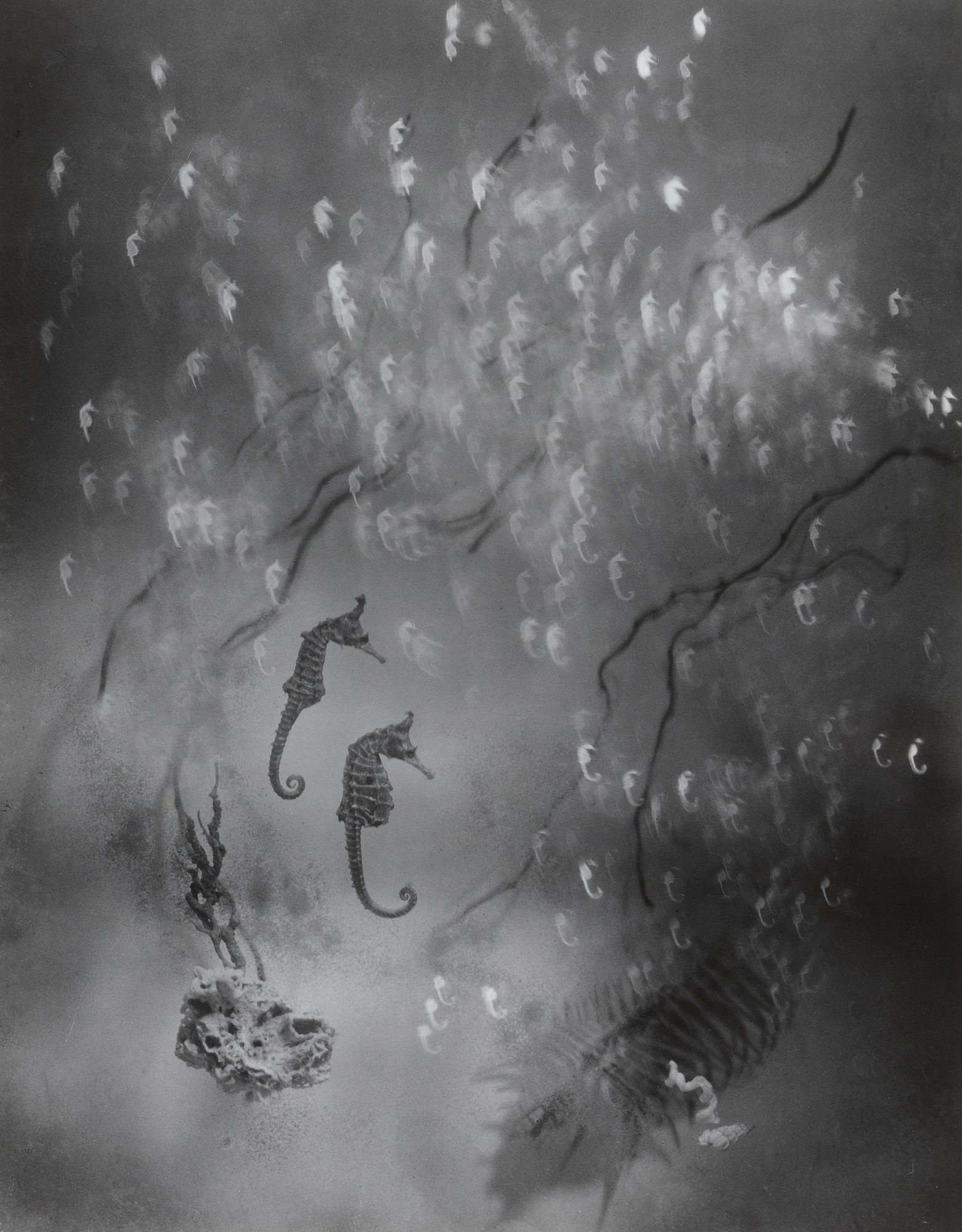 Iwata Nakayama | MoMA