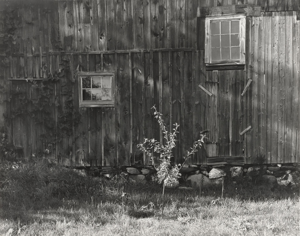Mr. Bristol's Barn 86