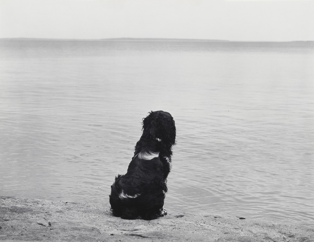 Mathew Brady and Lake Superior