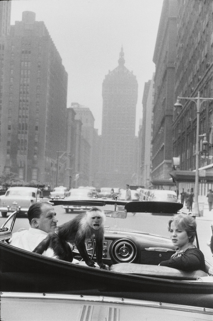 Park Avenue, New York