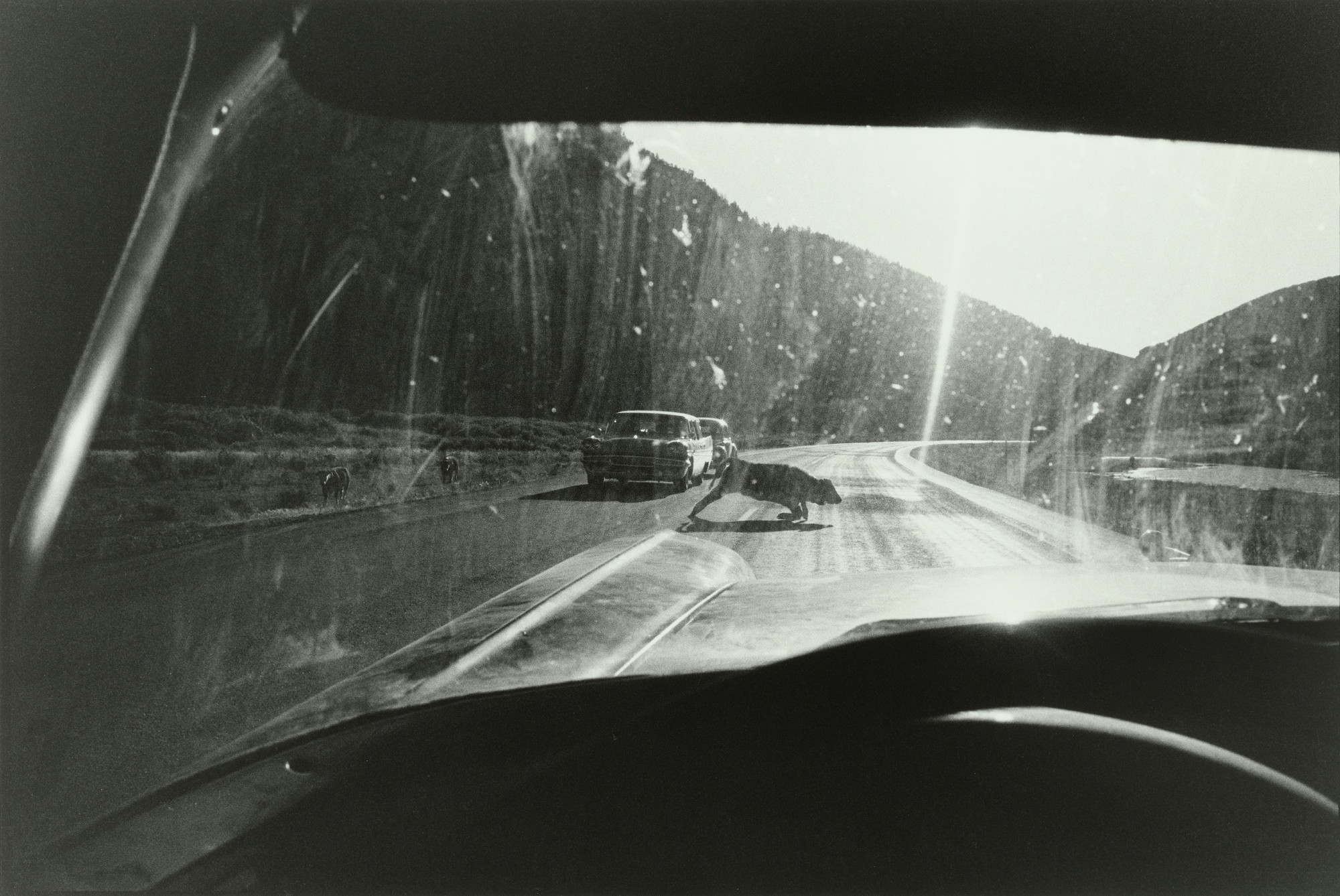 Garry Winogrand. Wyoming. 1964
