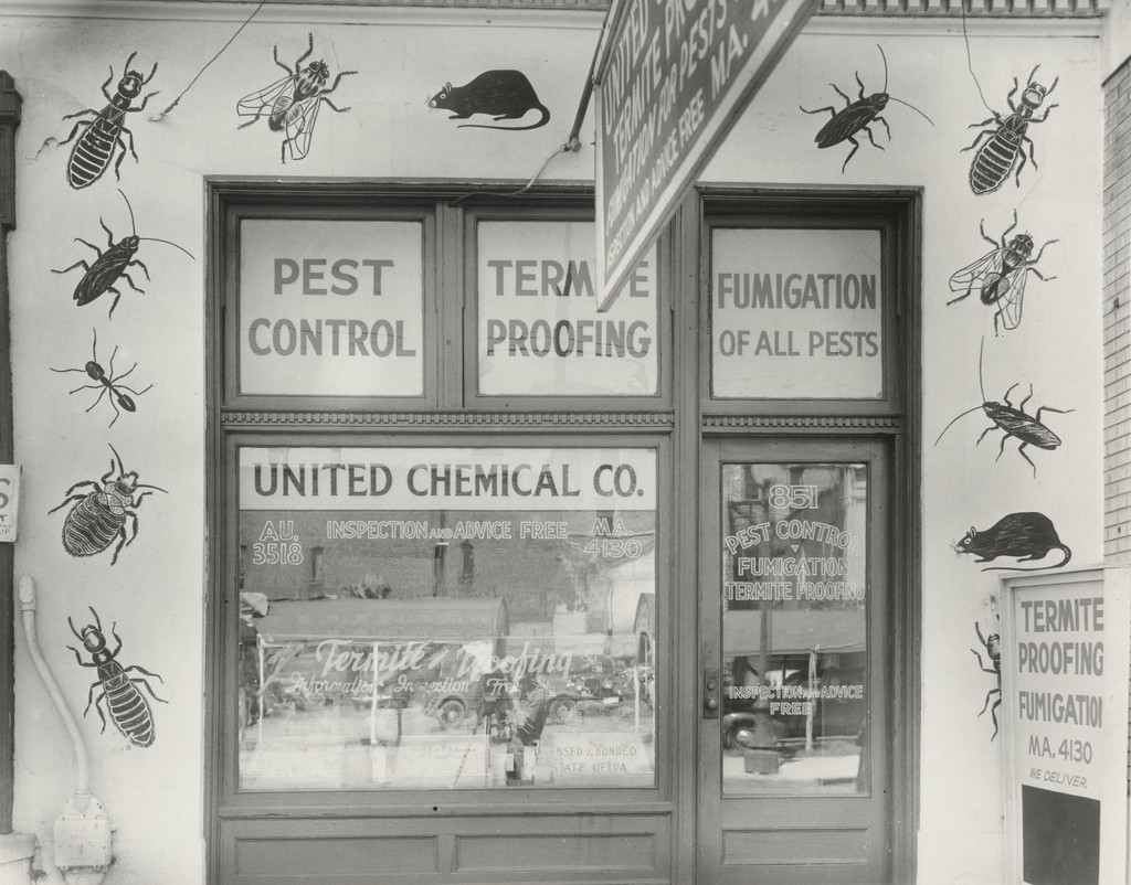 Pest Hater's Nightmare