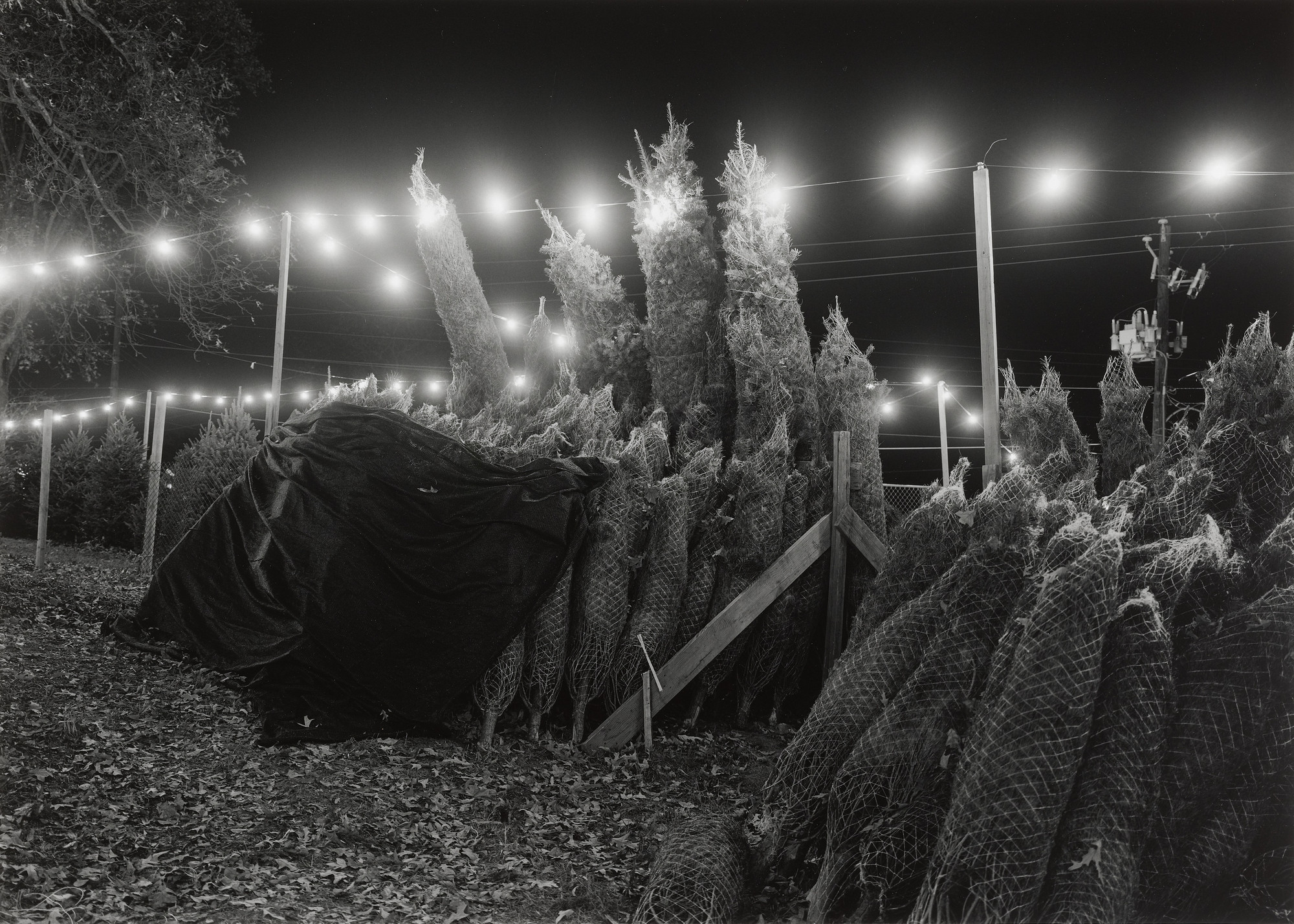 Mark Steinmetz. Atlanta, Georgia