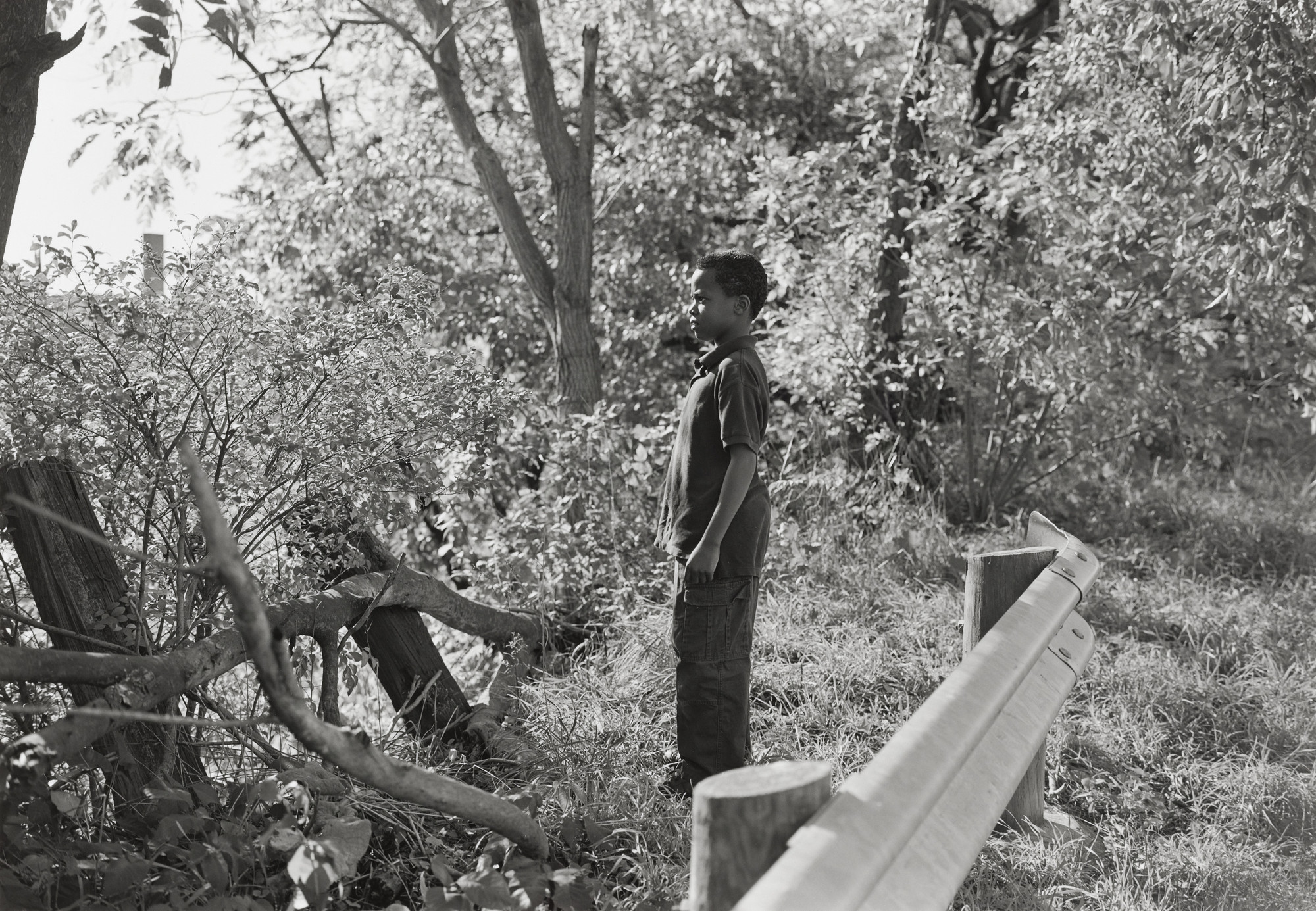 Mark Steinmetz. Youngstown, Ohio