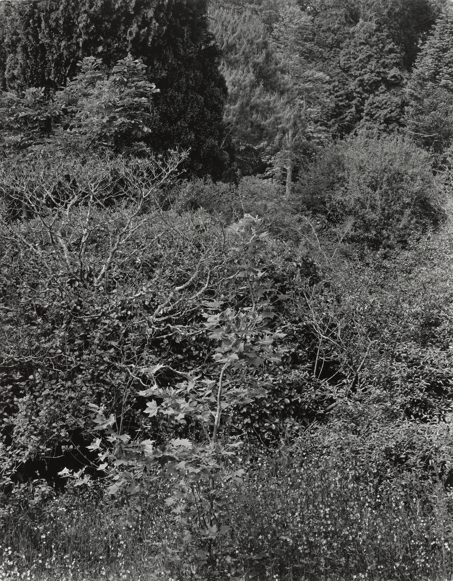 Kenneth Josephson. England. 1990 | MoMA