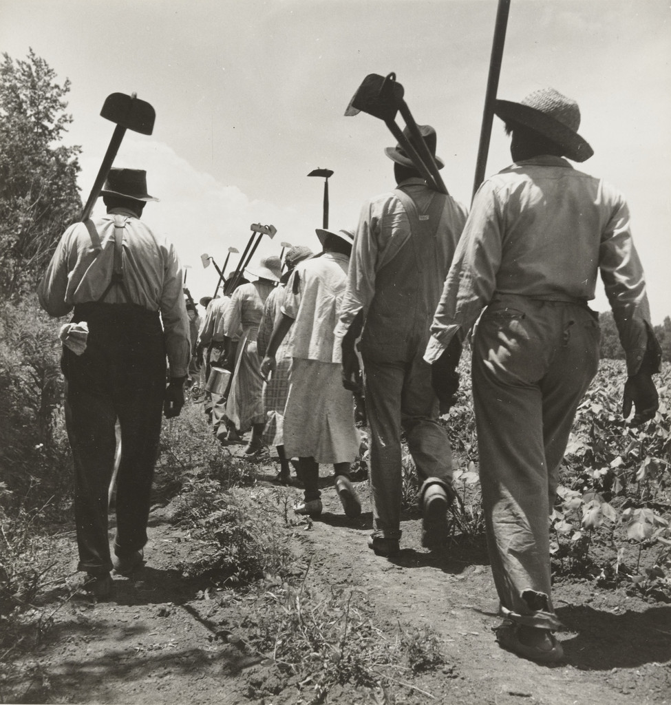 Farmworkers