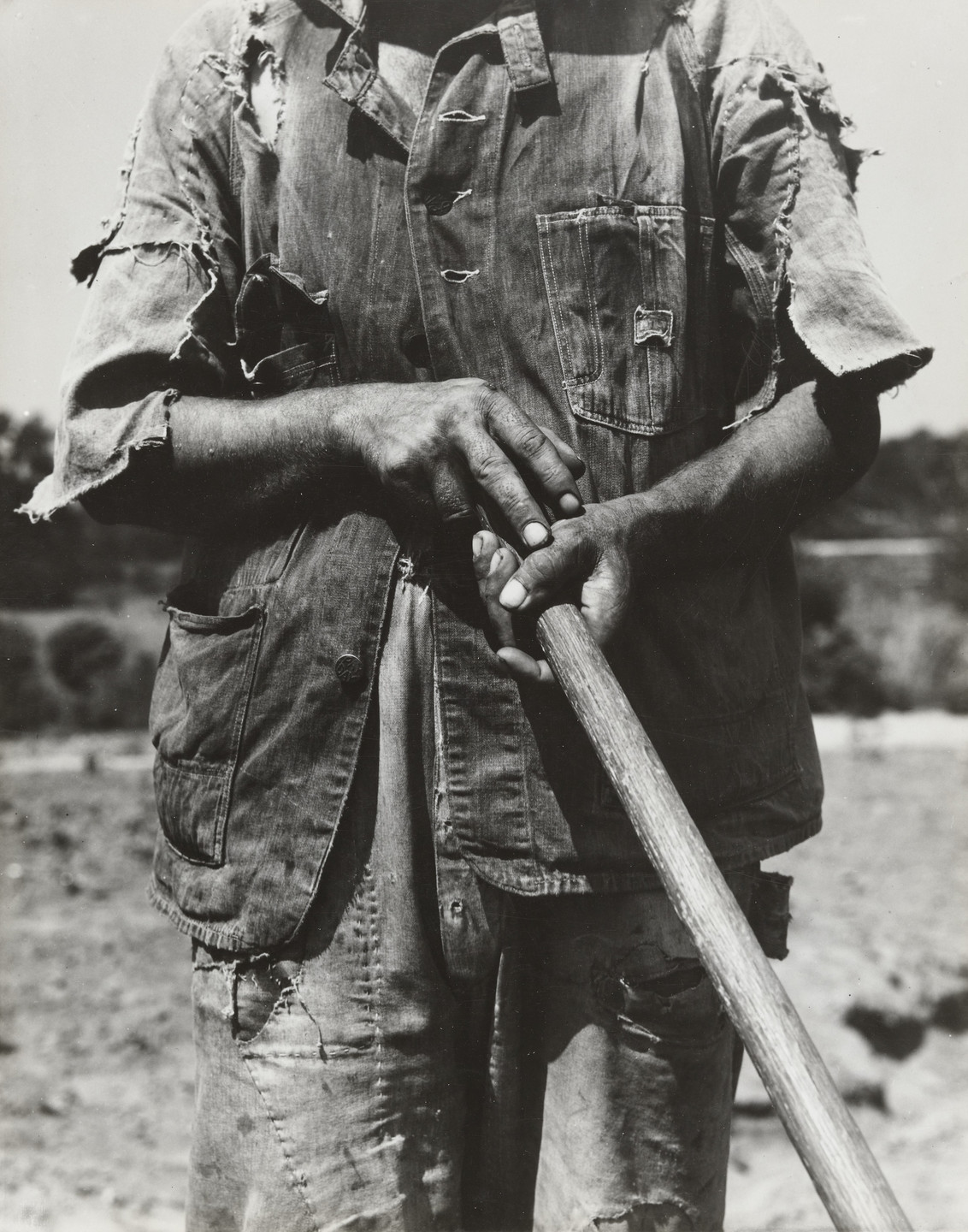 Dorothea Lange. Hoe Culture, Alabama. June 1936