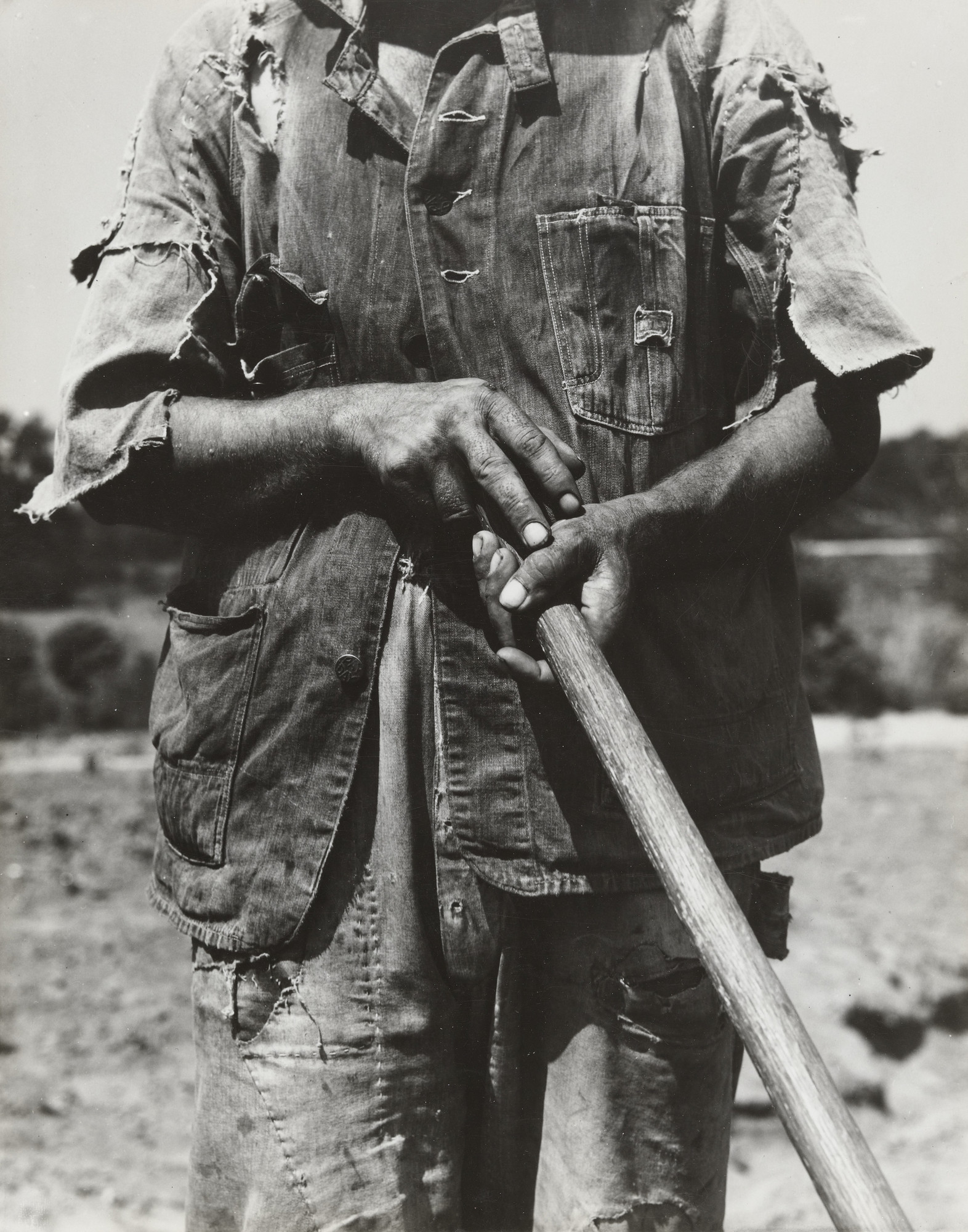 Dorothea Lange. Hoe Culture, Alabama. June 1936 | MoMA