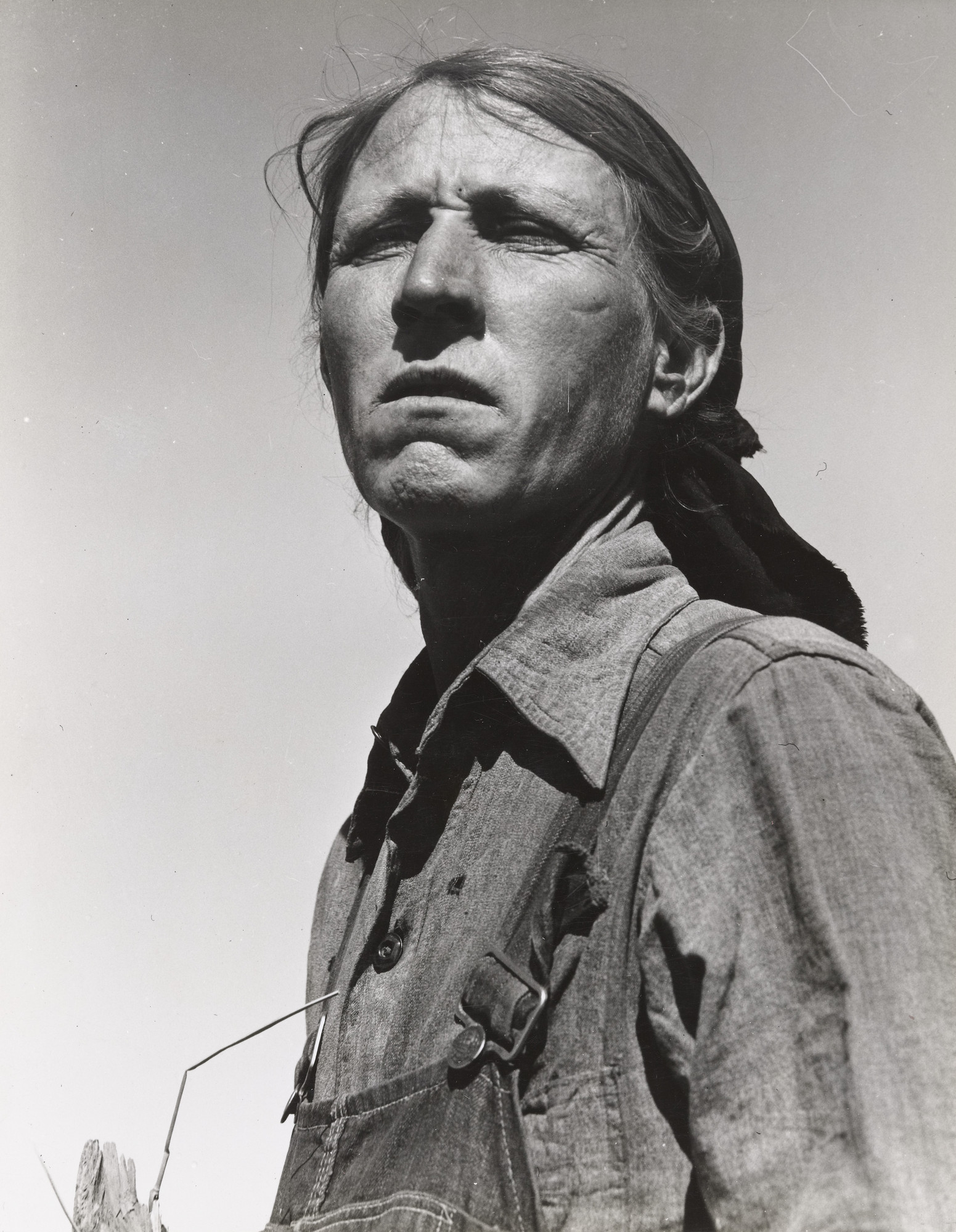 Dorothea Lange. Drought Refugee, California