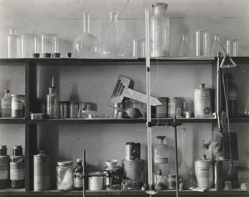 Still Life in a Laboratory