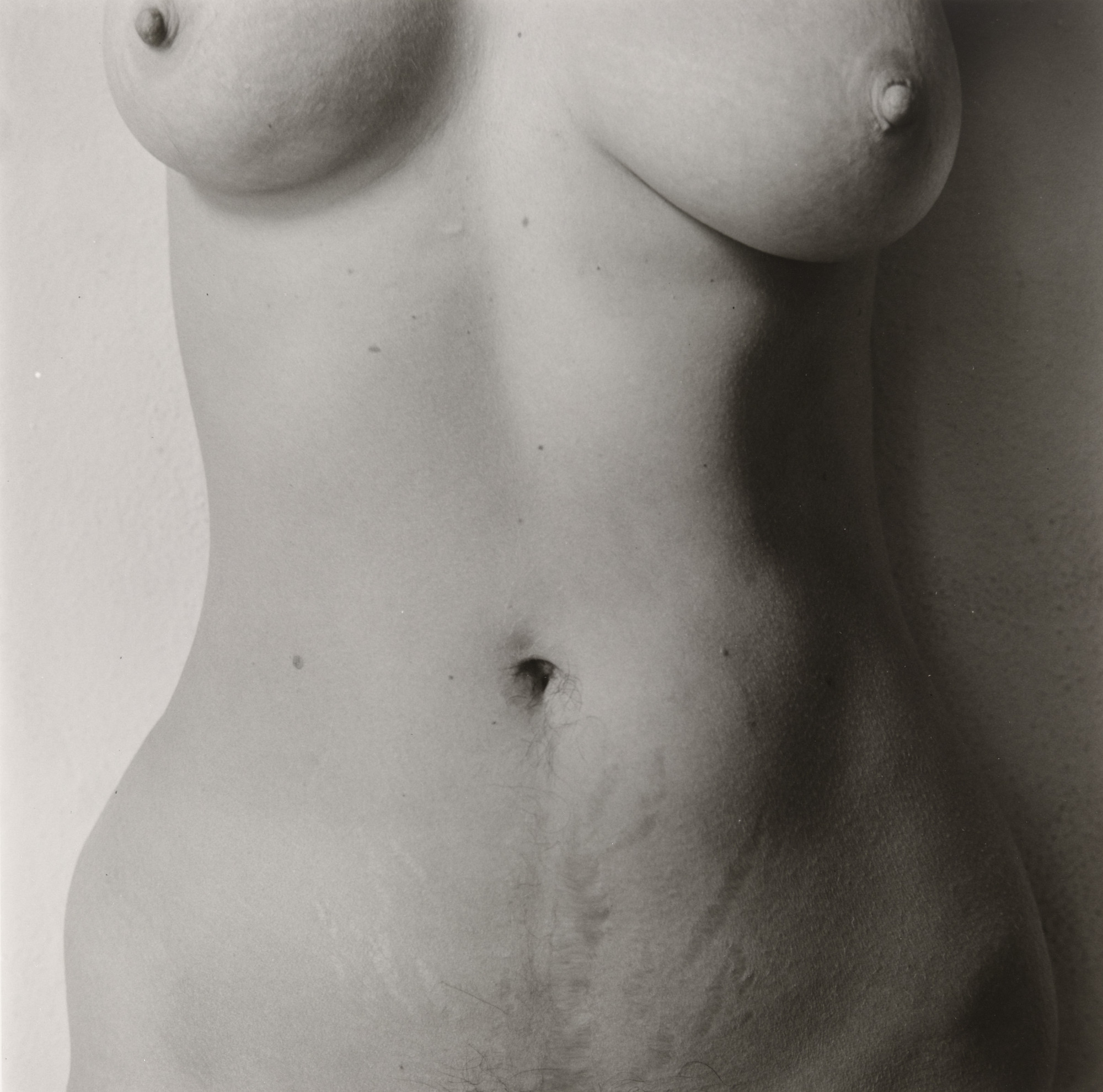Melissa Shook. March 20, 1973