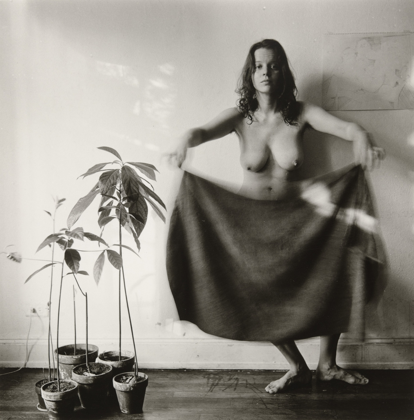 Melissa Shook. May 16, 1973. 1973