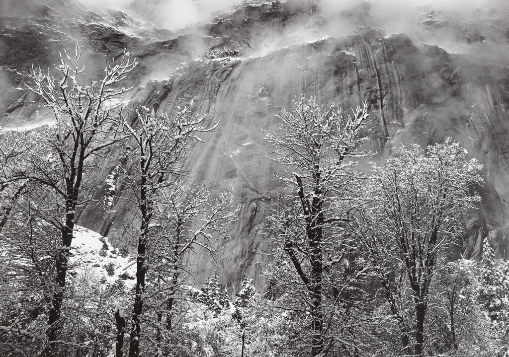Trees and Cliffs of Eagle Peak, Winter, Yosemite Valley, California