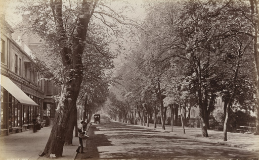 Chettenham, The Promenade (No. 659)