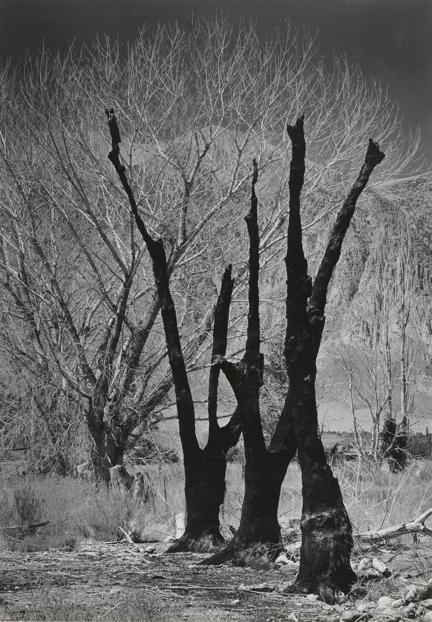 Ansel Adams. Owens Valley, California