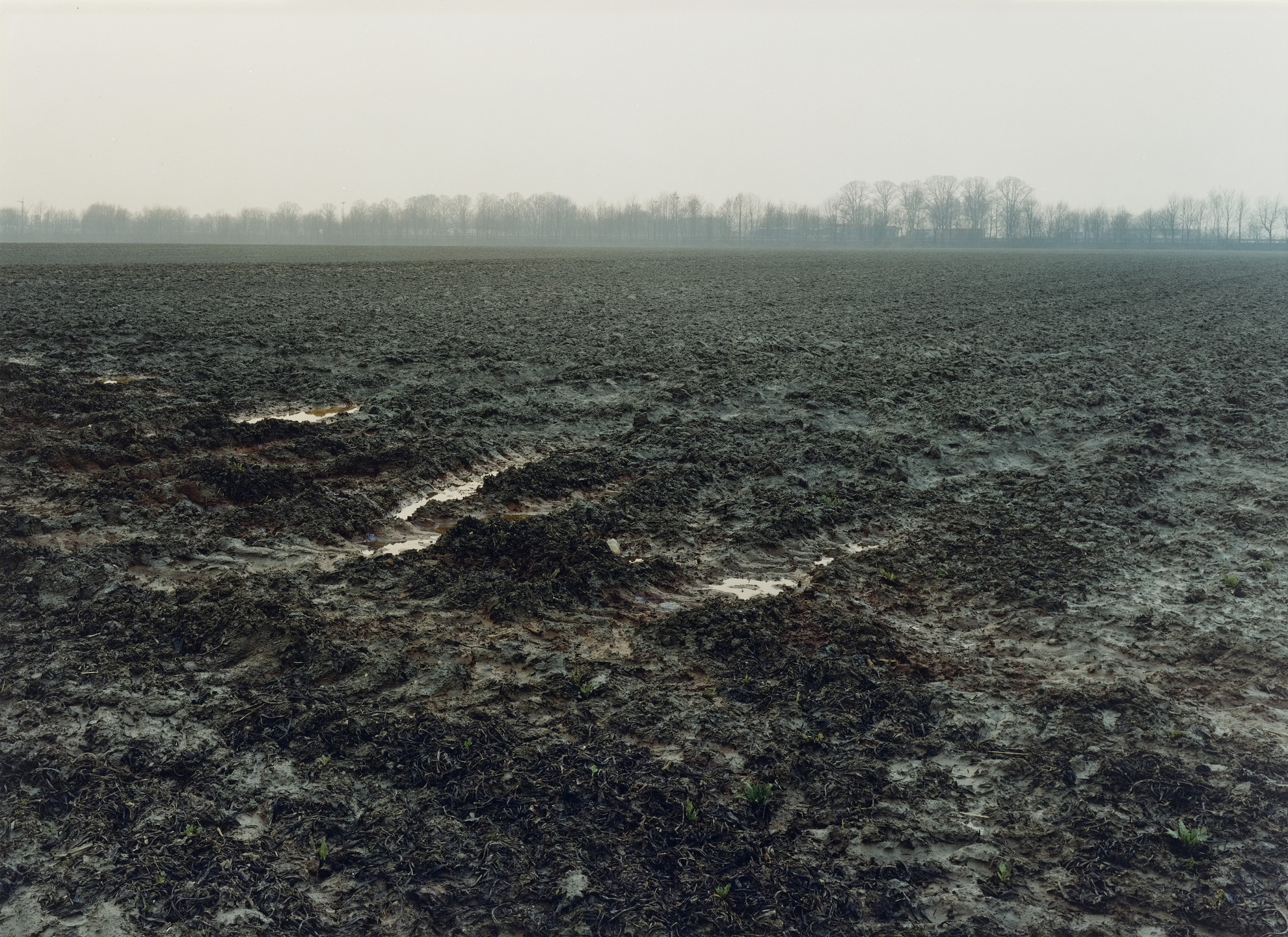 Simone Nieweg. Gepflugter Acker, Neuss-Kapellen. 2001