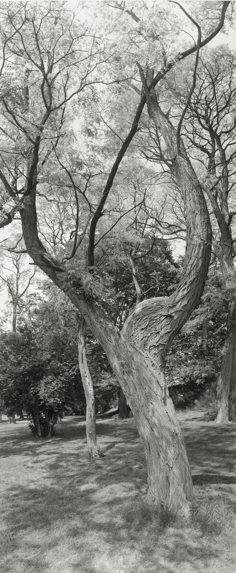Geoffrey James. Untitled, Long Island