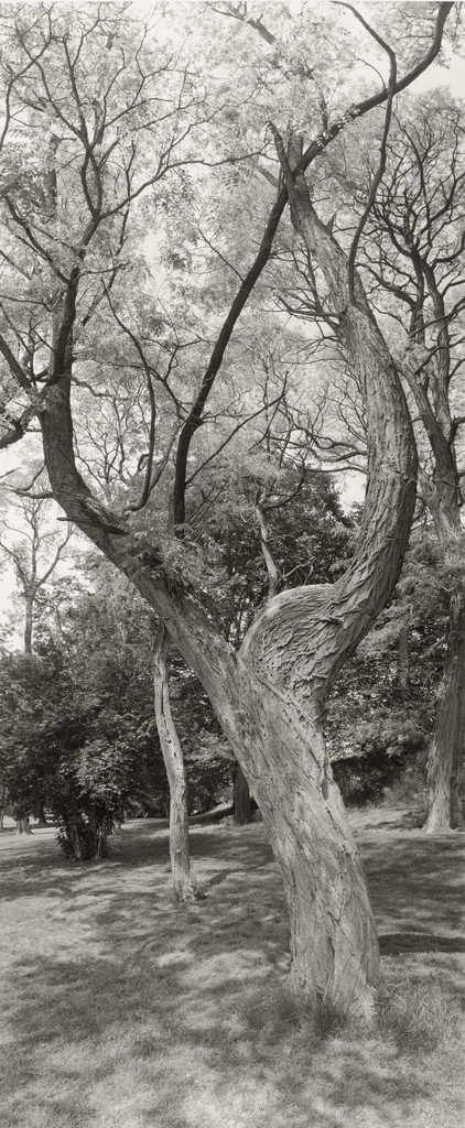 Untitled, Long Island