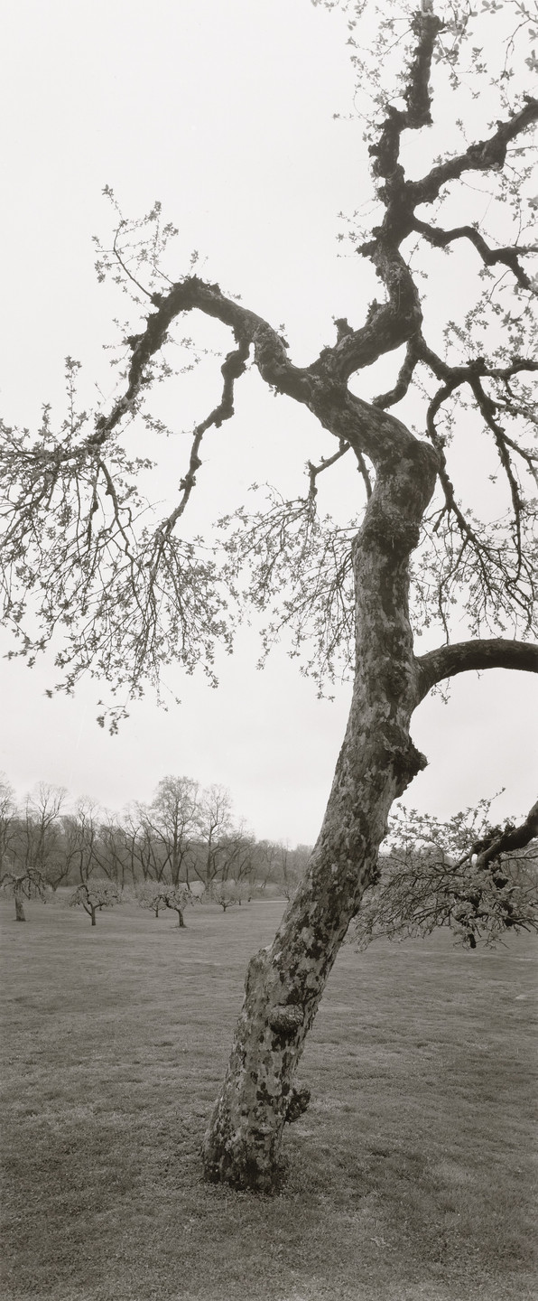 Geoffrey James. Untitled, Long Island. 2005