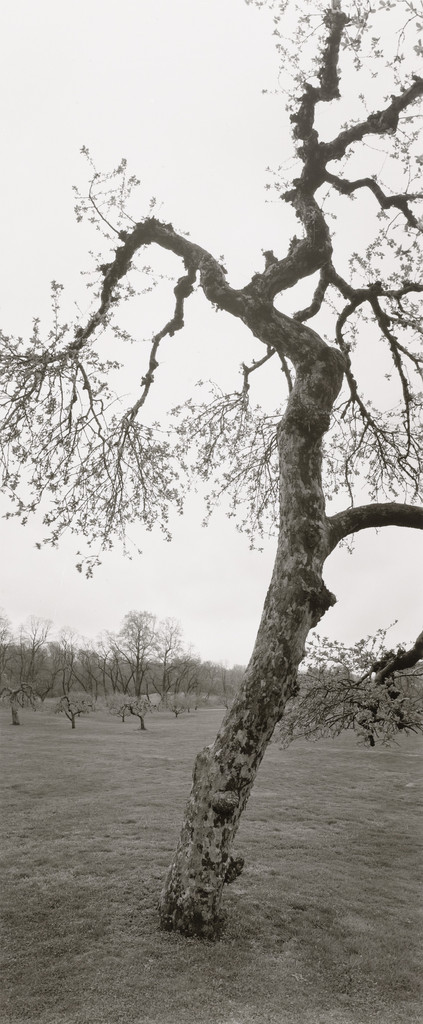 Untitled, Long Island