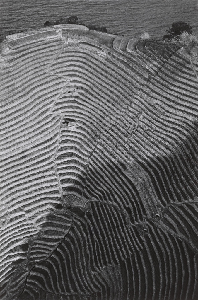 Cultivated Field on Mountain Slide