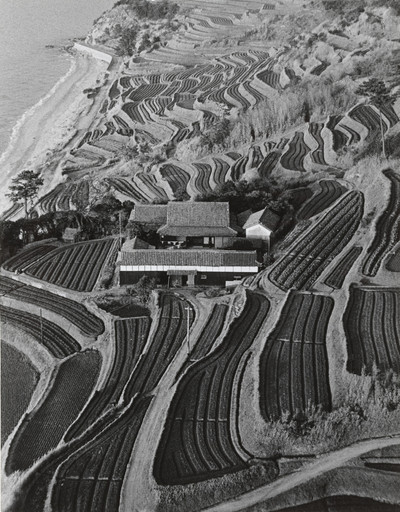Cultivation