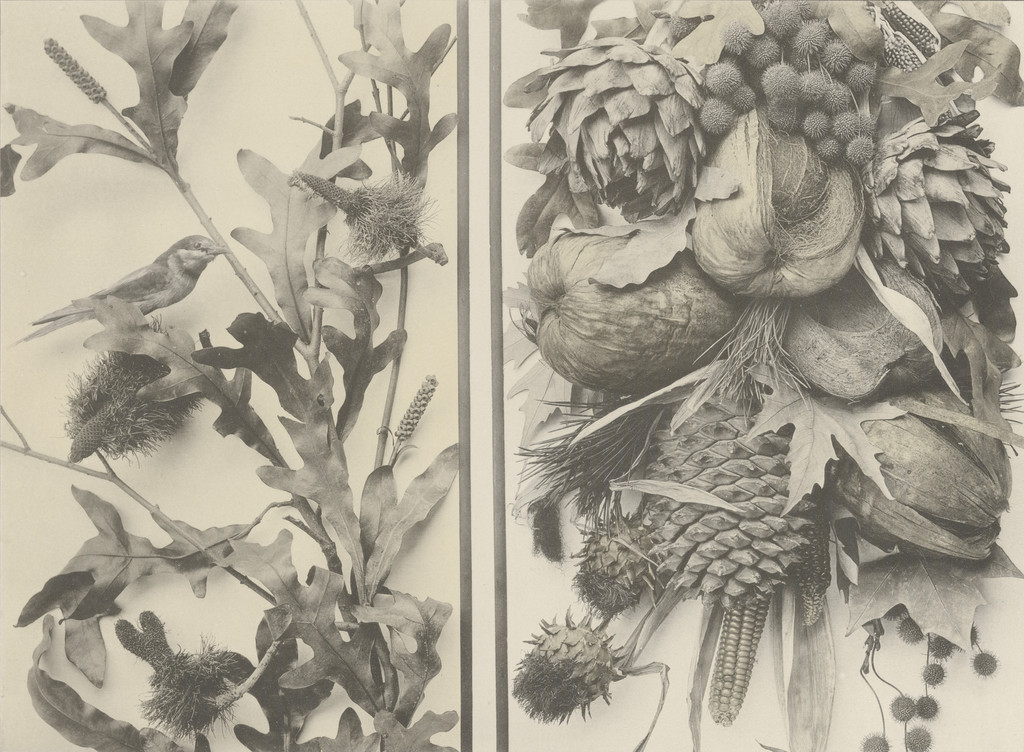 Page from Festons und Dekorative Gruppen