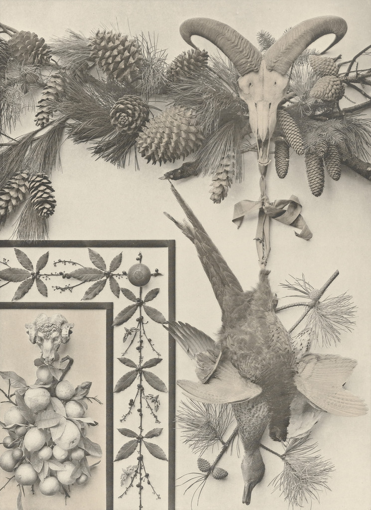 Page from Festons und Dekorative Gruppen