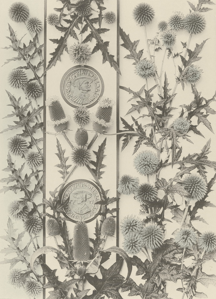 Page from Festons und Dekorative Gruppen