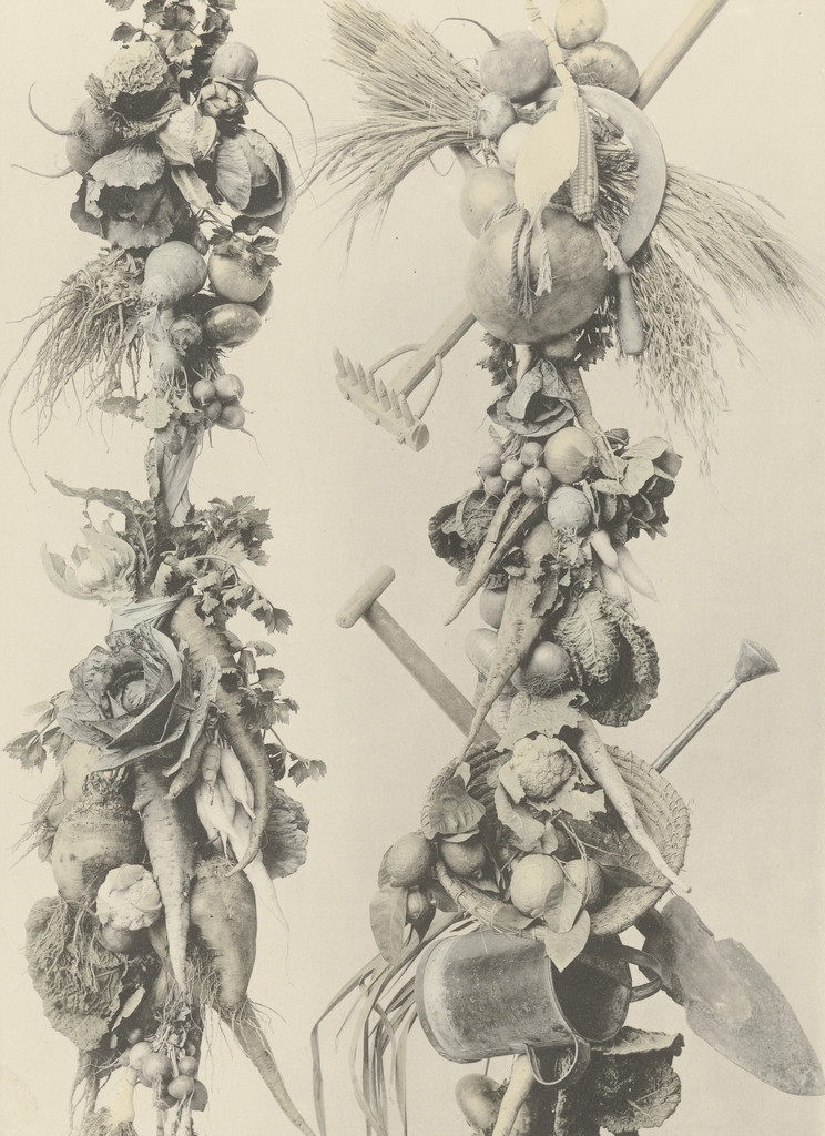 Page from Festons und Dekorative Gruppen