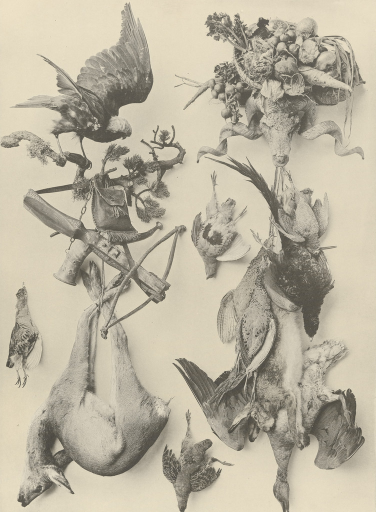 Page from Festons und Dekorative Gruppen