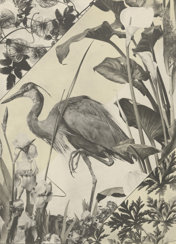 Page from Festons und Dekorative Gruppen