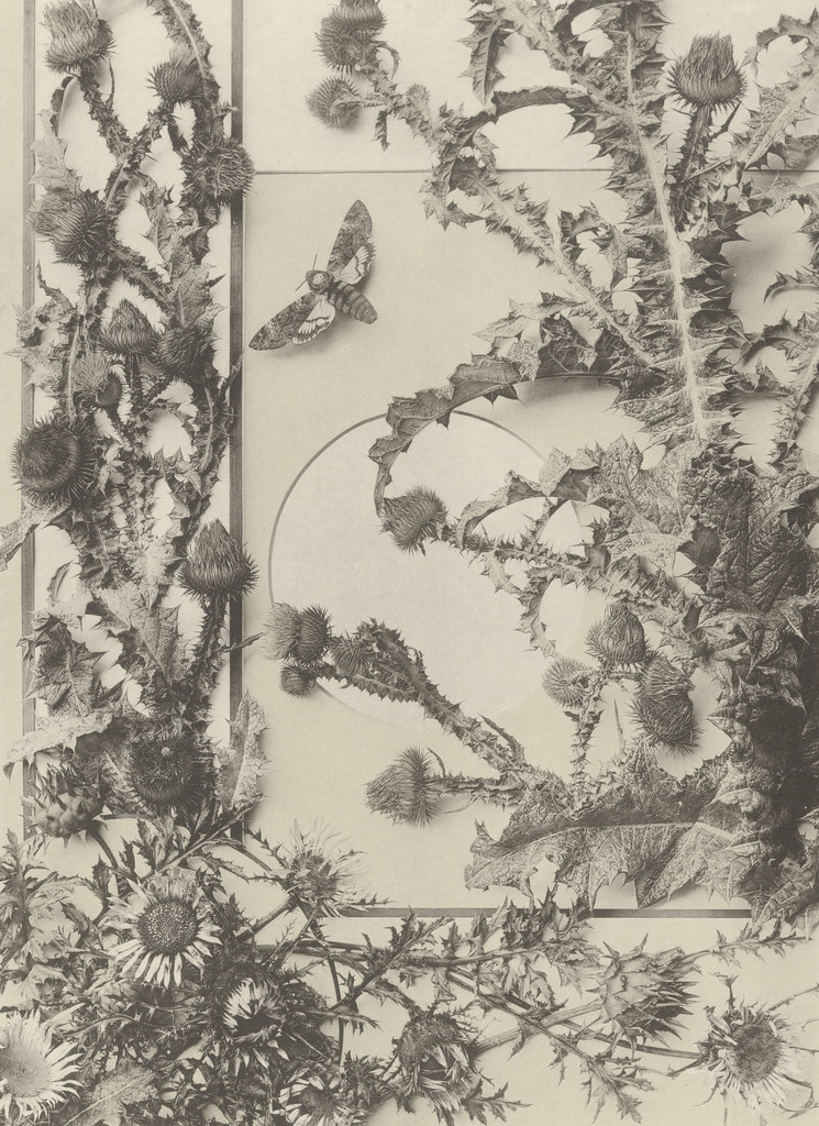 Page from Festons und Dekorative Gruppen