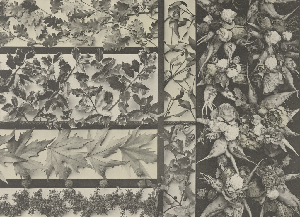 Page from Festons und Dekorative Gruppen