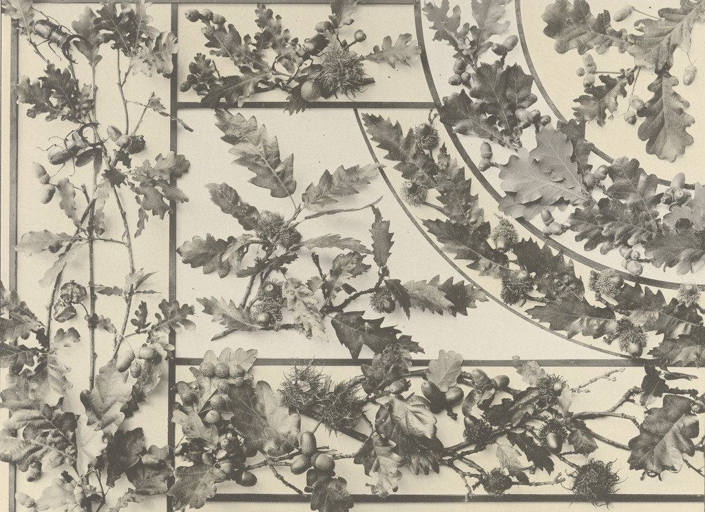 Page from Festons und Dekorative Gruppen