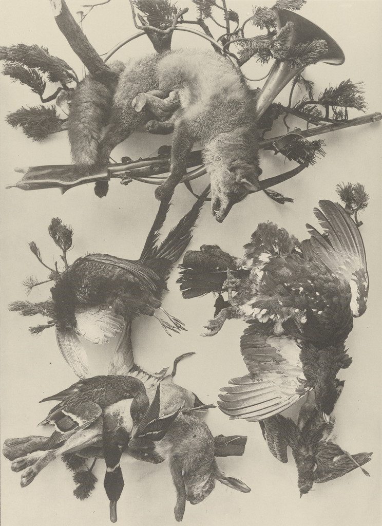 Page from Festons und Dekorative Gruppen