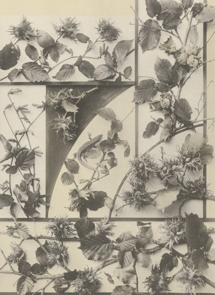 Page from Festons und Dekorative Gruppen