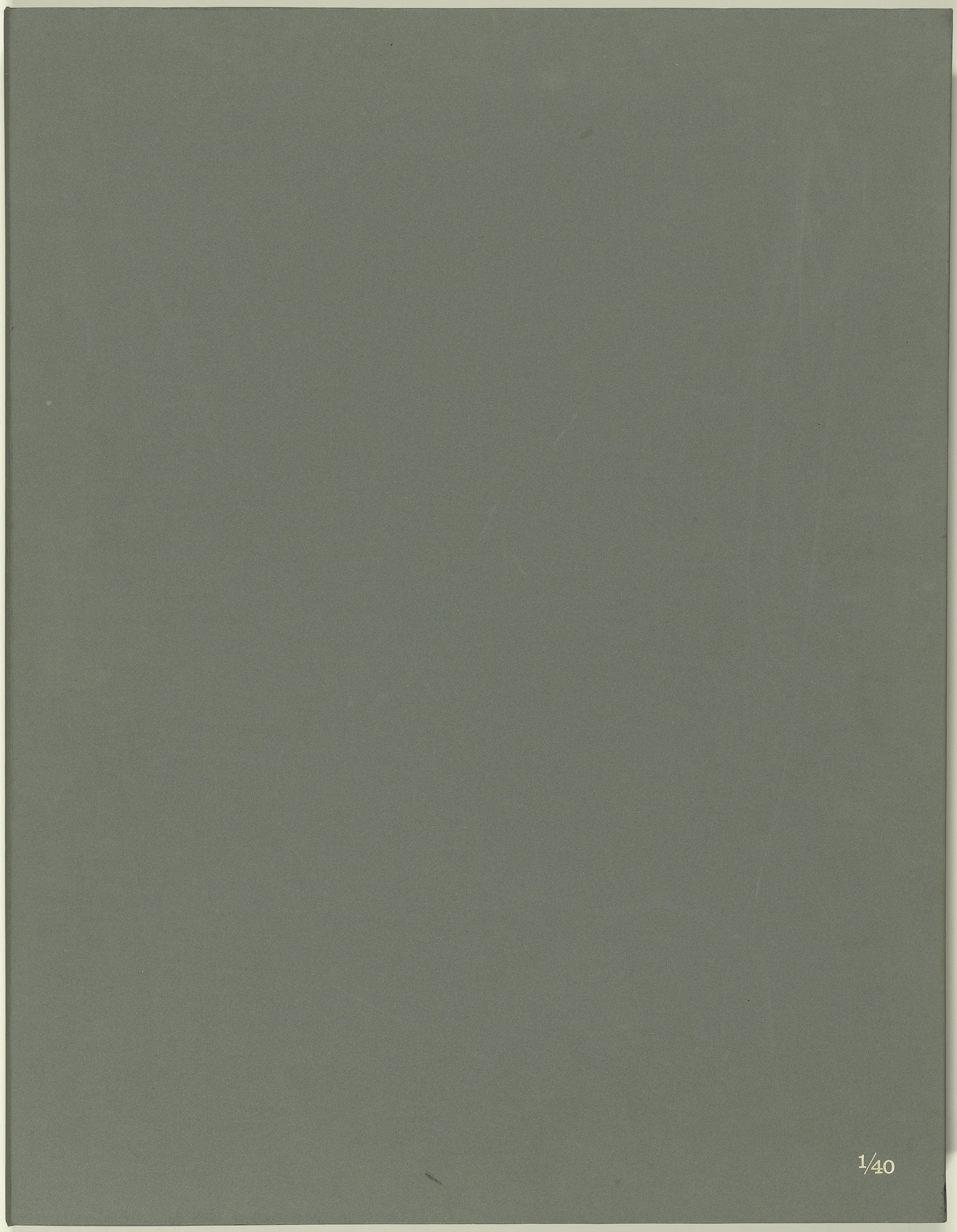 Jasper Johns. 1st Etchings-2nd State