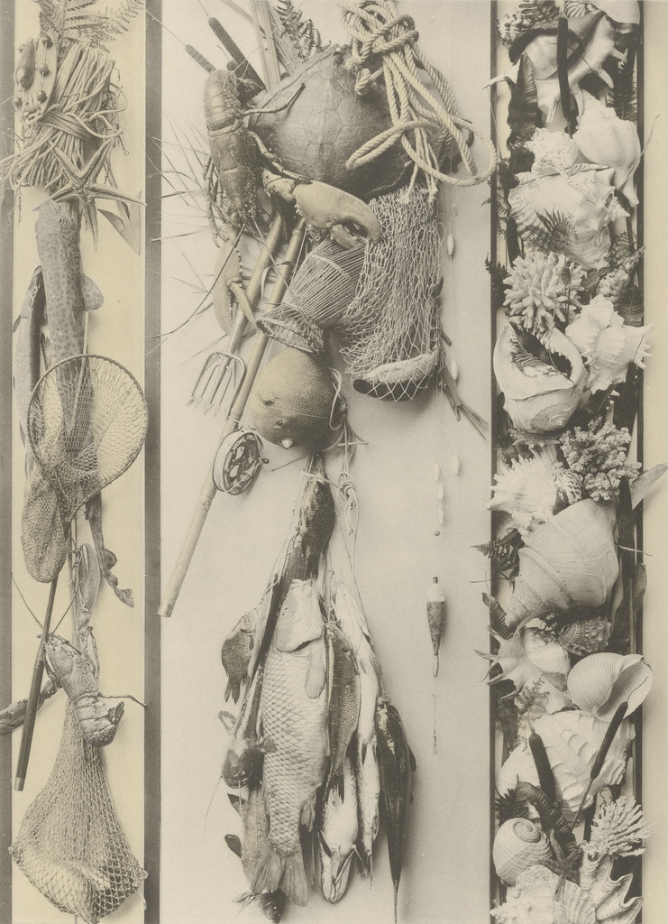 Page from Festons und Dekorative Gruppen