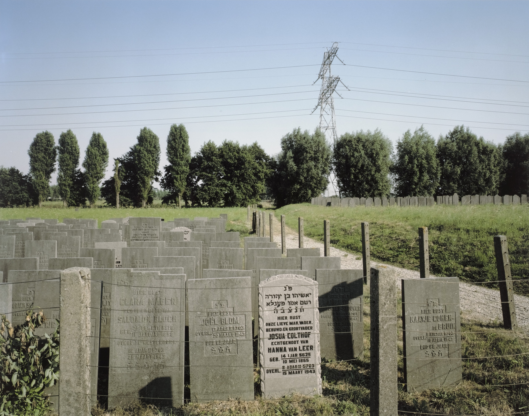 Brian Rose. Jewish Cemetery, Amsterdam. 2002