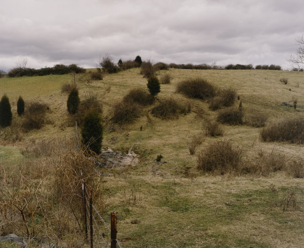 Fall Branch, Tennessee
