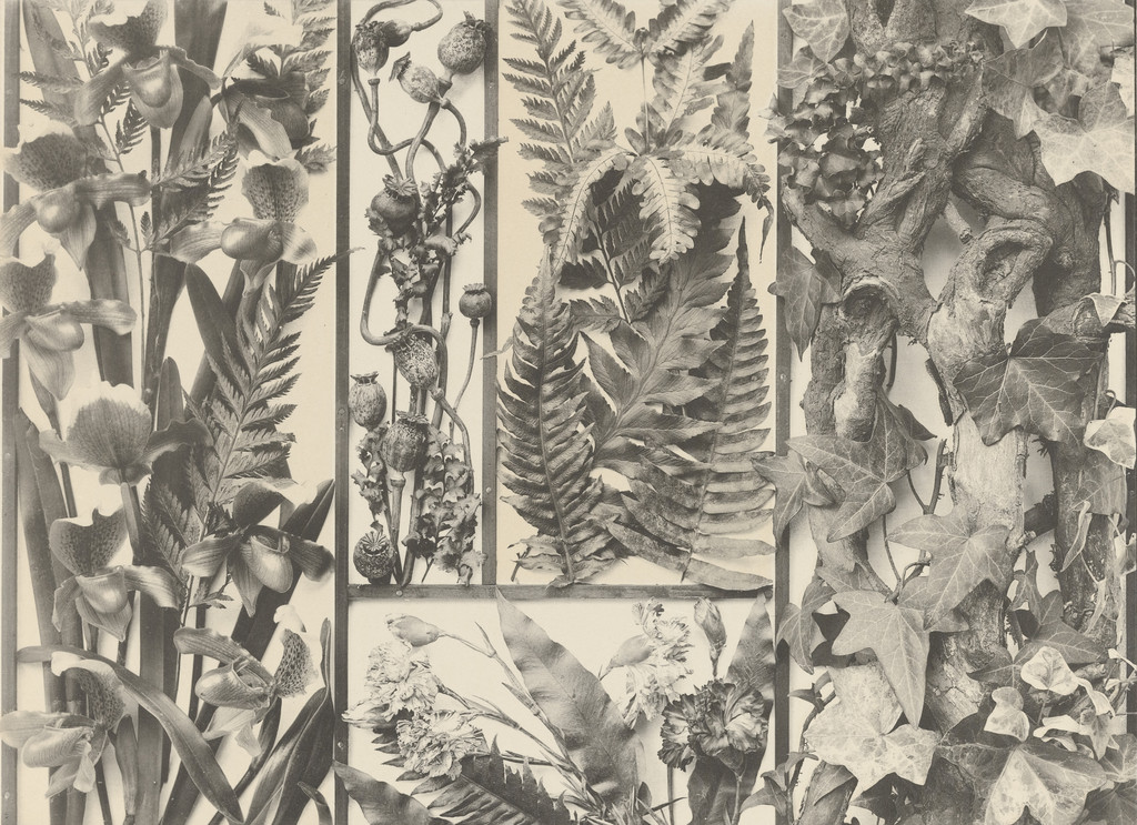 Page from Festons und Dekorative Gruppen