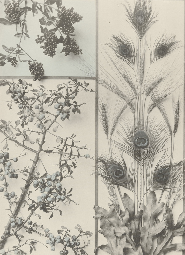 Page from Festons und Dekorative Gruppen