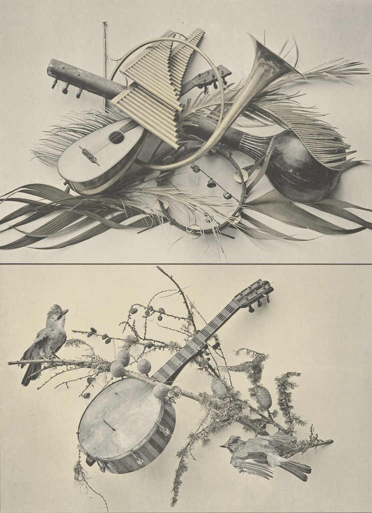 Page from Festons und Dekorative Gruppen