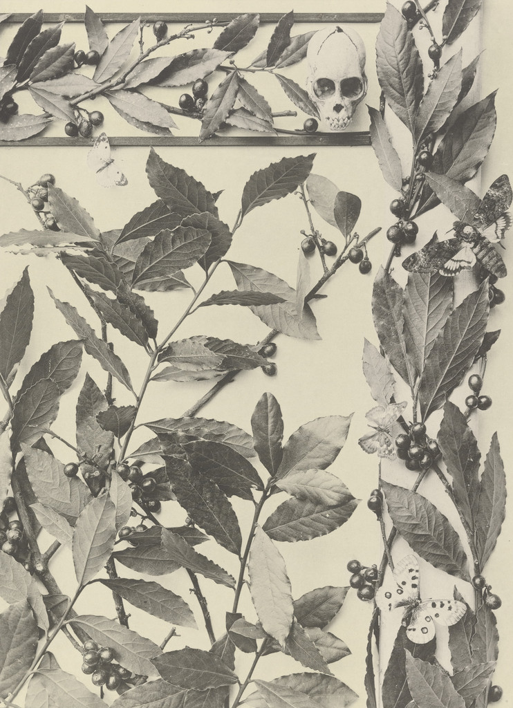 Page from Festons und Dekorative Gruppen