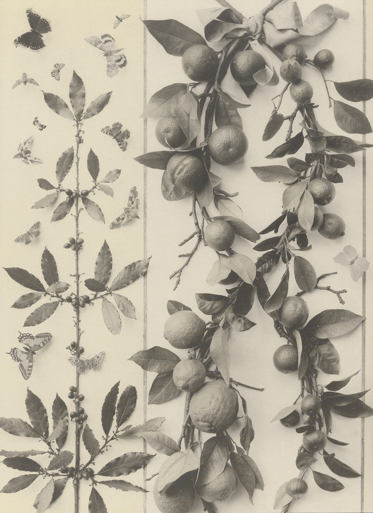 Page from Festons und Dekorative Gruppen