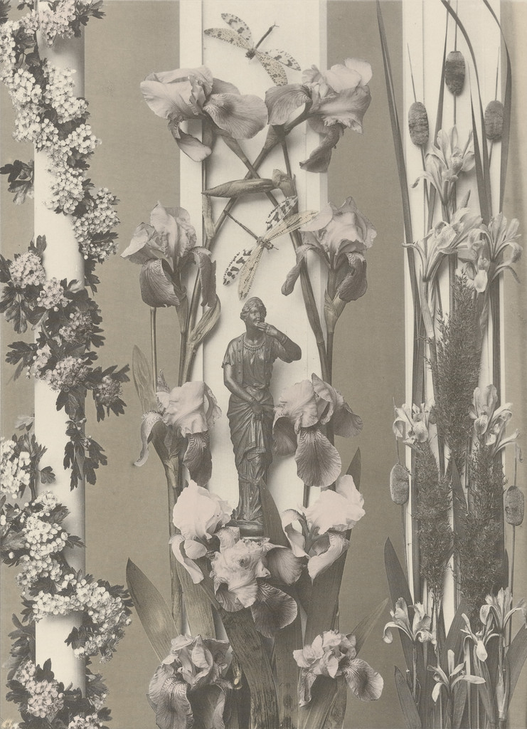 Page from Festons und Dekorative Gruppen