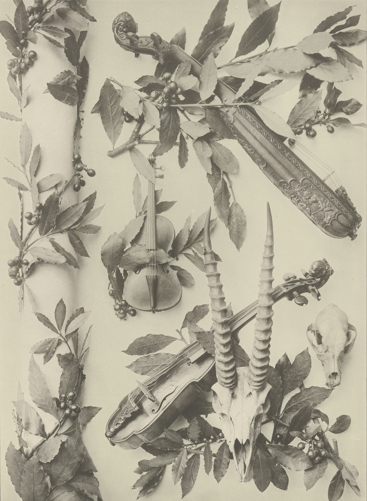 Page from Festons und Dekorative Gruppen