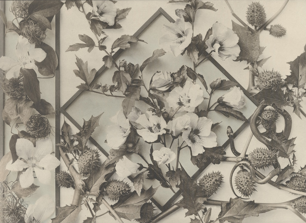 Page from Festons und Dekorative Gruppen